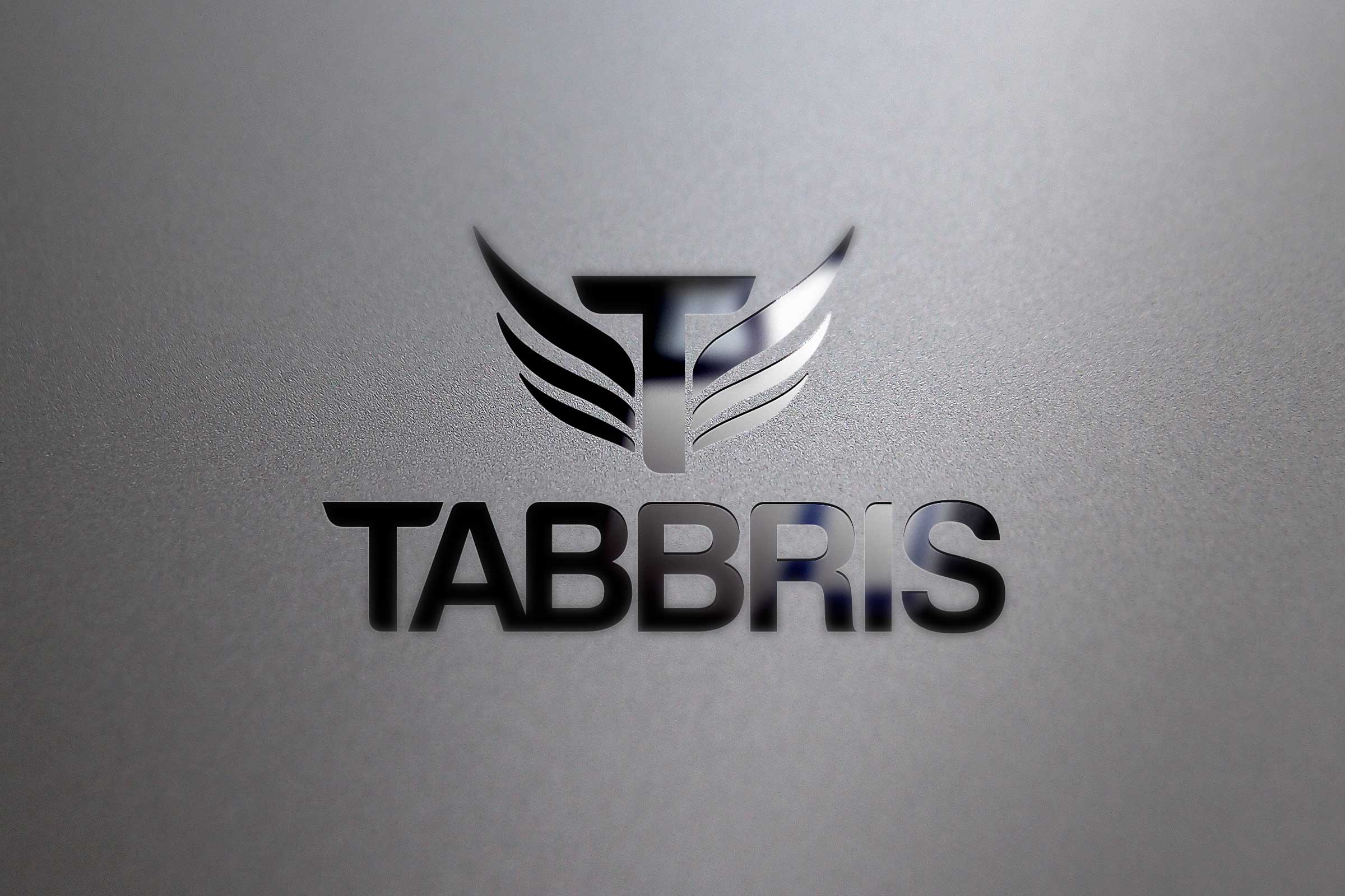 Tabbris-Logo-Design
